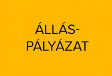 Álláspályázat - projektmenedzser/asszisztens