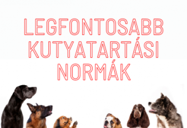 TÁJÉKOZTATÓ A LEGFONTOSABB KUTYATARTÁSI NORMÁKRÓL