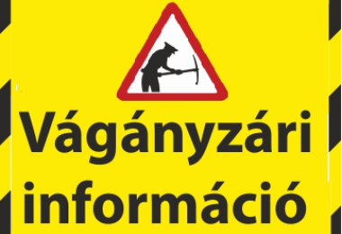 VÁGÁNYZÁRI INFORMÁCIÓ