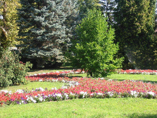 Park