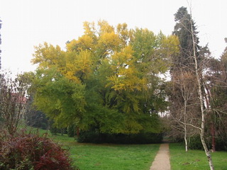 Történelmi park